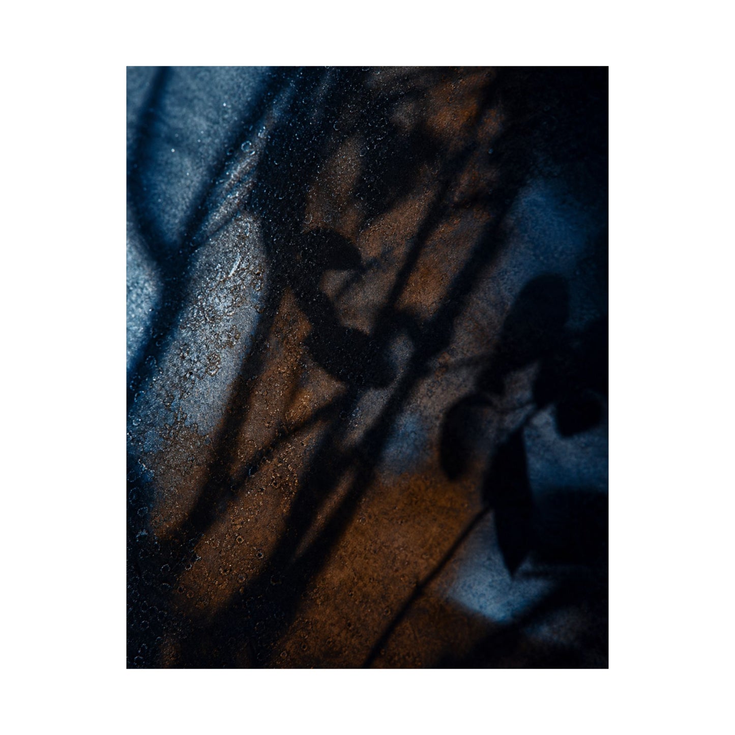 Winter Shadow Play Moody Minimal Wall Art Print | Luxurious Decor