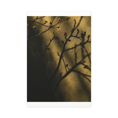 Golden Hour Shadow Play Canvas Art - Dark Japandi Seijaku