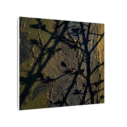 Kanso Shadow Play Canvas Art - Dark Japandi Dark Texture