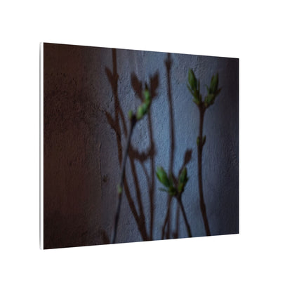 Shadow Play Spring Canvas Art | Dark Japandi Sophisticated Design