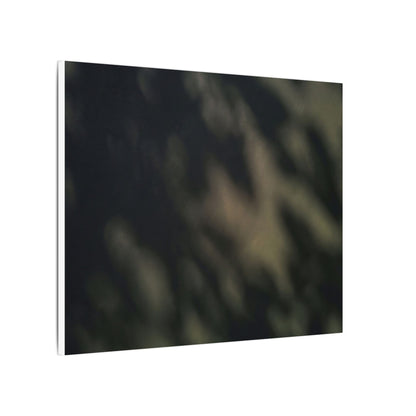Dappled Shadow Play Canvas Art - Dark Japandi Ma