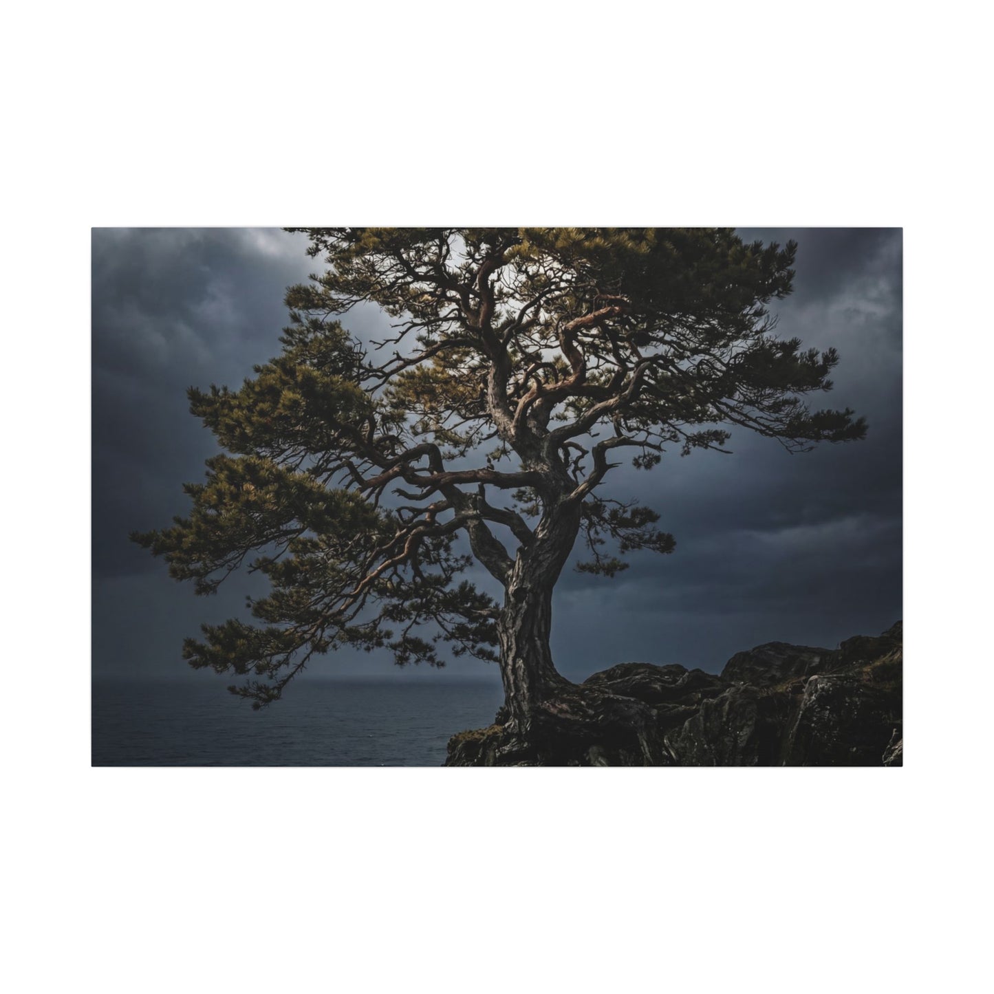 Dappled Pine Tree Canvas Art - Dark Japandi Fukinsei Art Print