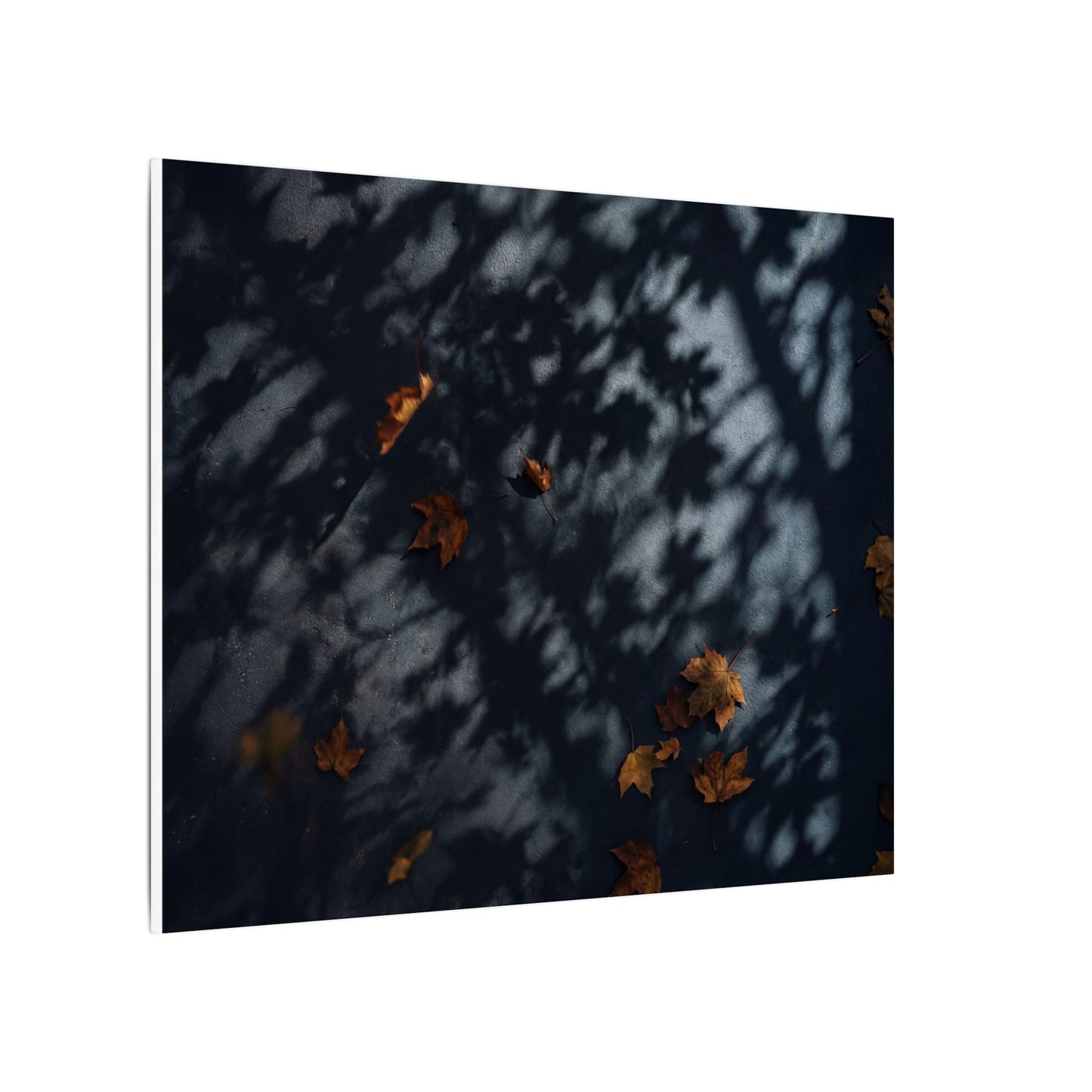 Autumn Shadow Play Shadow Zen Canvas Art | Atmospheric Decor