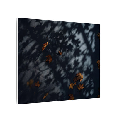 Autumn Shadow Play Shadow Zen Canvas Art | Atmospheric Decor