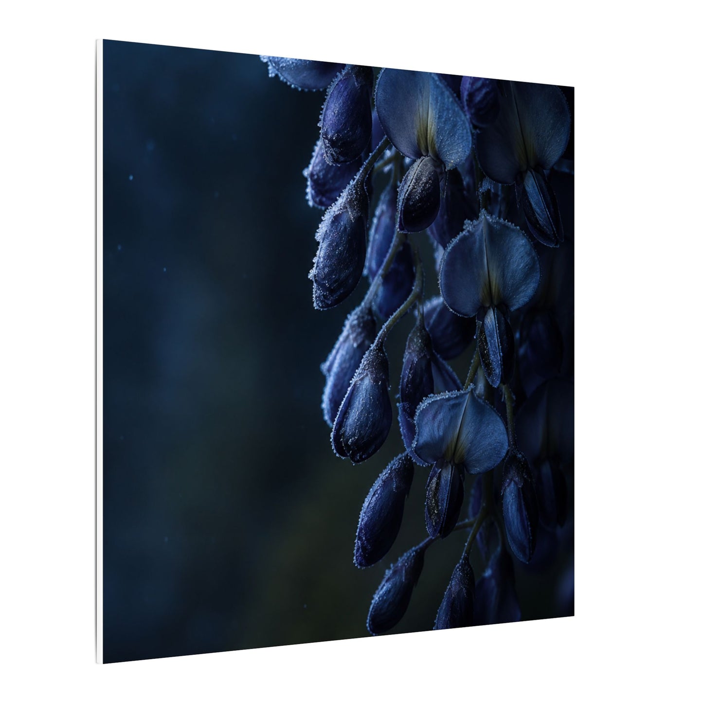 Winter Wisteria Shadow Zen Canvas Art | Atmospheric Decor