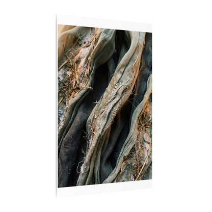 Silk Drape Winter Canvas Art | Japandi Cozy Design