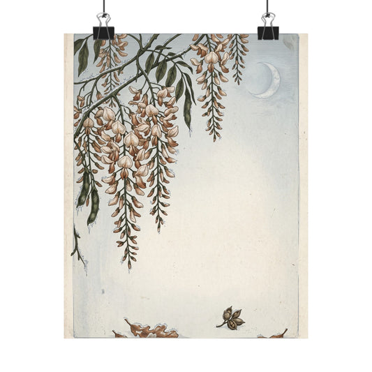 Cottagecore Wisteria in Moonlight | Vintage Botanical Wall Art Print