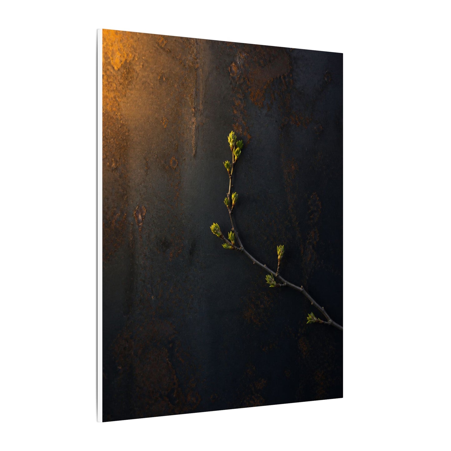 Dark Japandi Rust Patina in Golden Hour | Moody Minimal Canvas Art