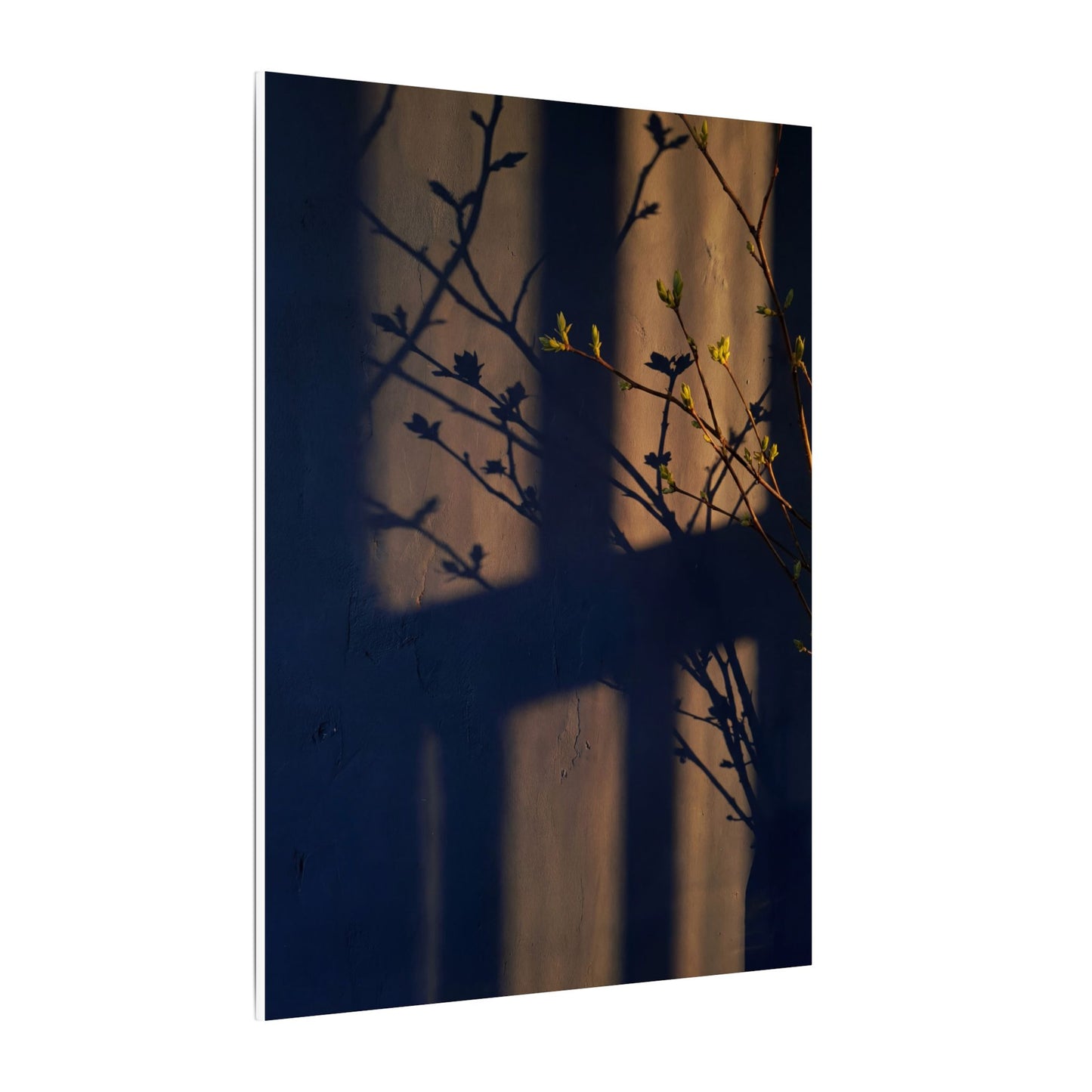 Shadow Play Canvas Art | Spring Dark Japandi Shadow Zen Art