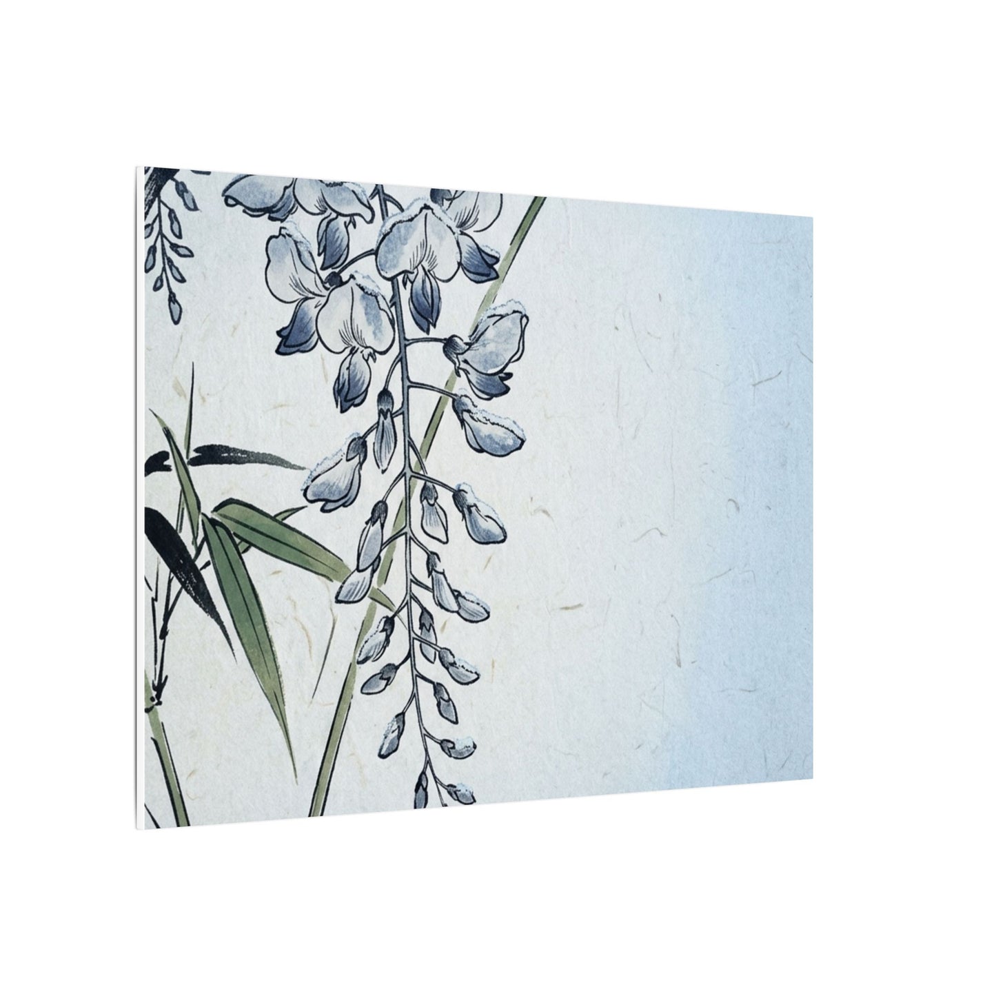 Zen Wisteria in Moonlight | Ukiyo E Inspired Canvas Art