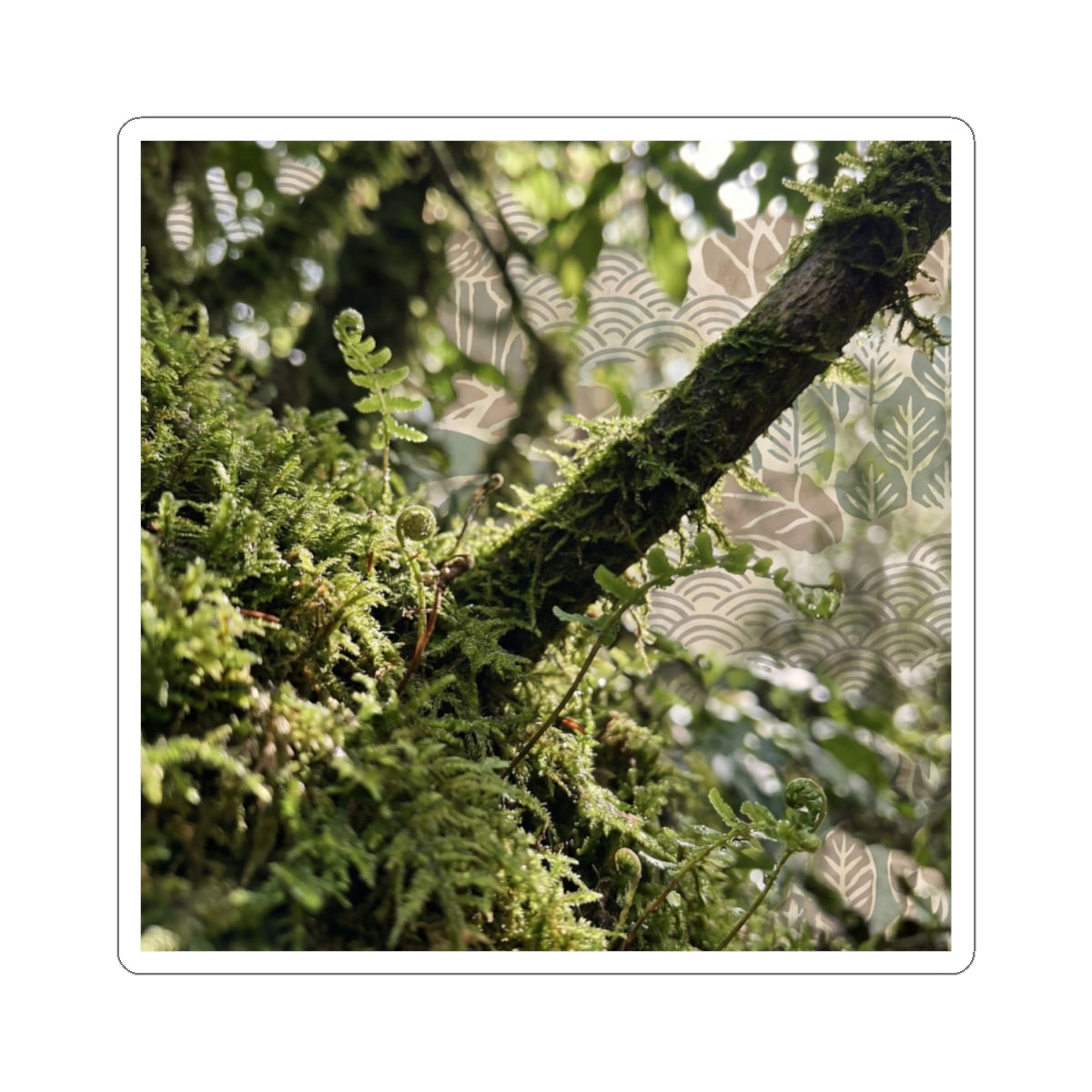Moss Close Up Spring Sticker | Japandi Earthy Design Art Print