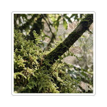 Moss Close Up Spring Sticker | Japandi Earthy Design Art Print