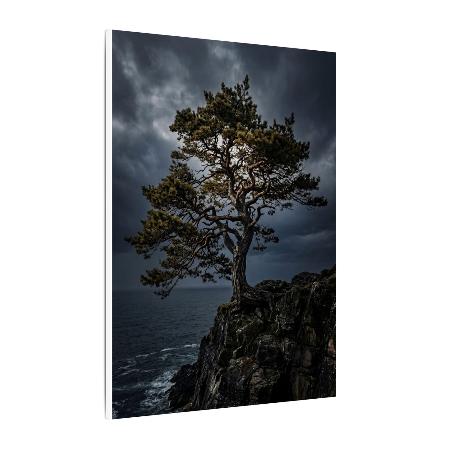 Dappled Pine Tree Canvas Art - Dark Japandi Fukinsei