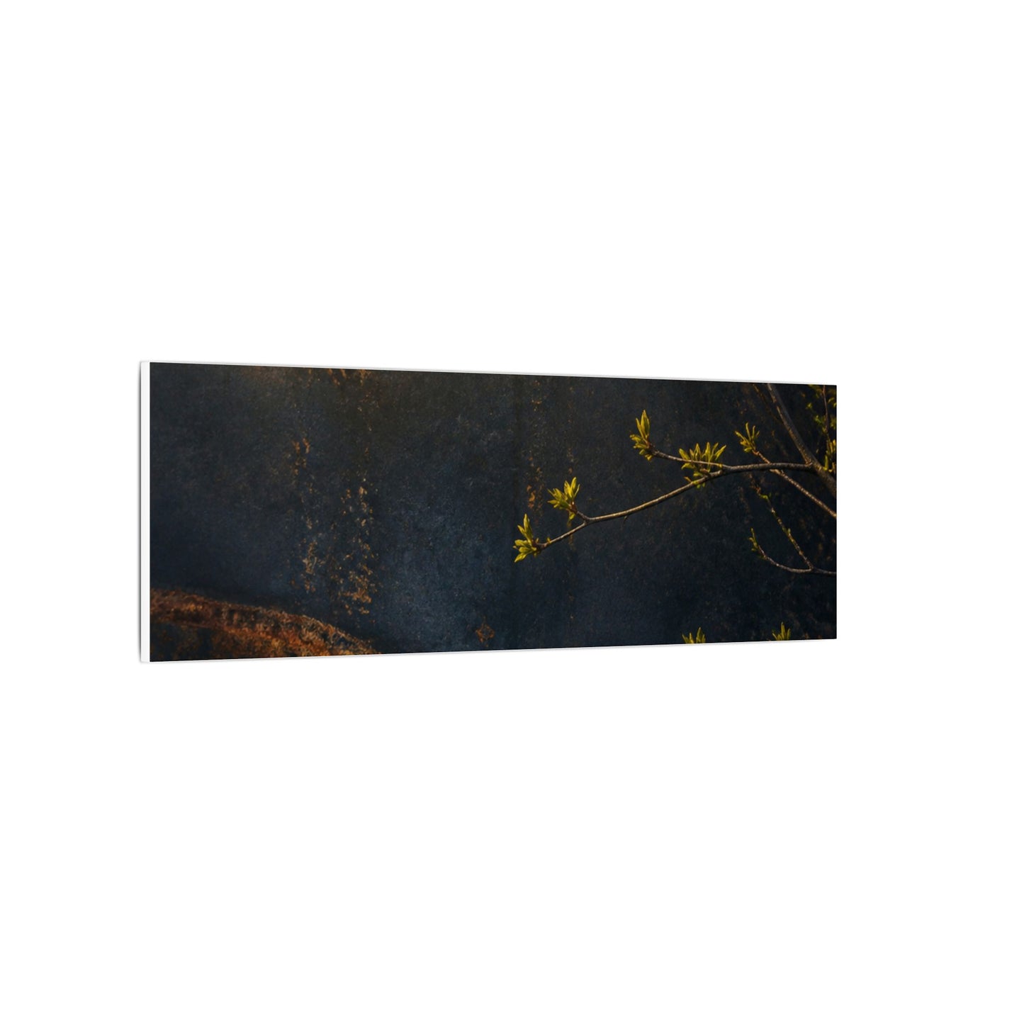 Spring Rust Patina Dark Texture Canvas Art | Moody Decor
