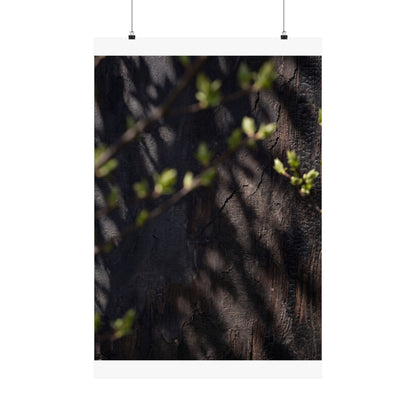 Shadow Play Dark Texture Wall Art Print | Atmospheric Dark Japandi Art