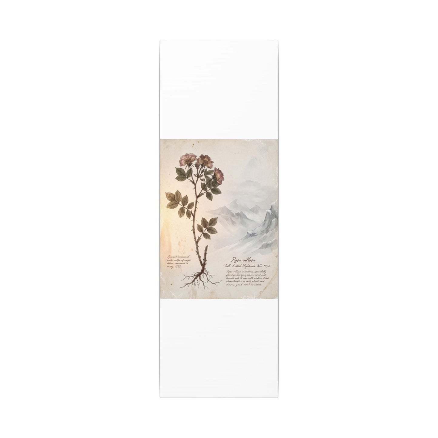 Winter Mountain Mist Herbarium Canvas Art | Earthy Decor