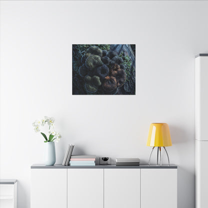 Wild Mushrooms Moody Minimal Canvas Art | Moody Dark Japandi Art