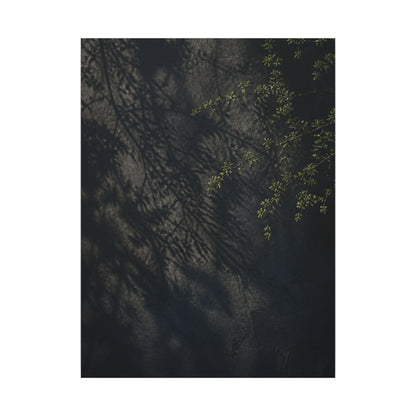 Overcast Shadow Play Canvas Art - Dark Japandi Seijaku