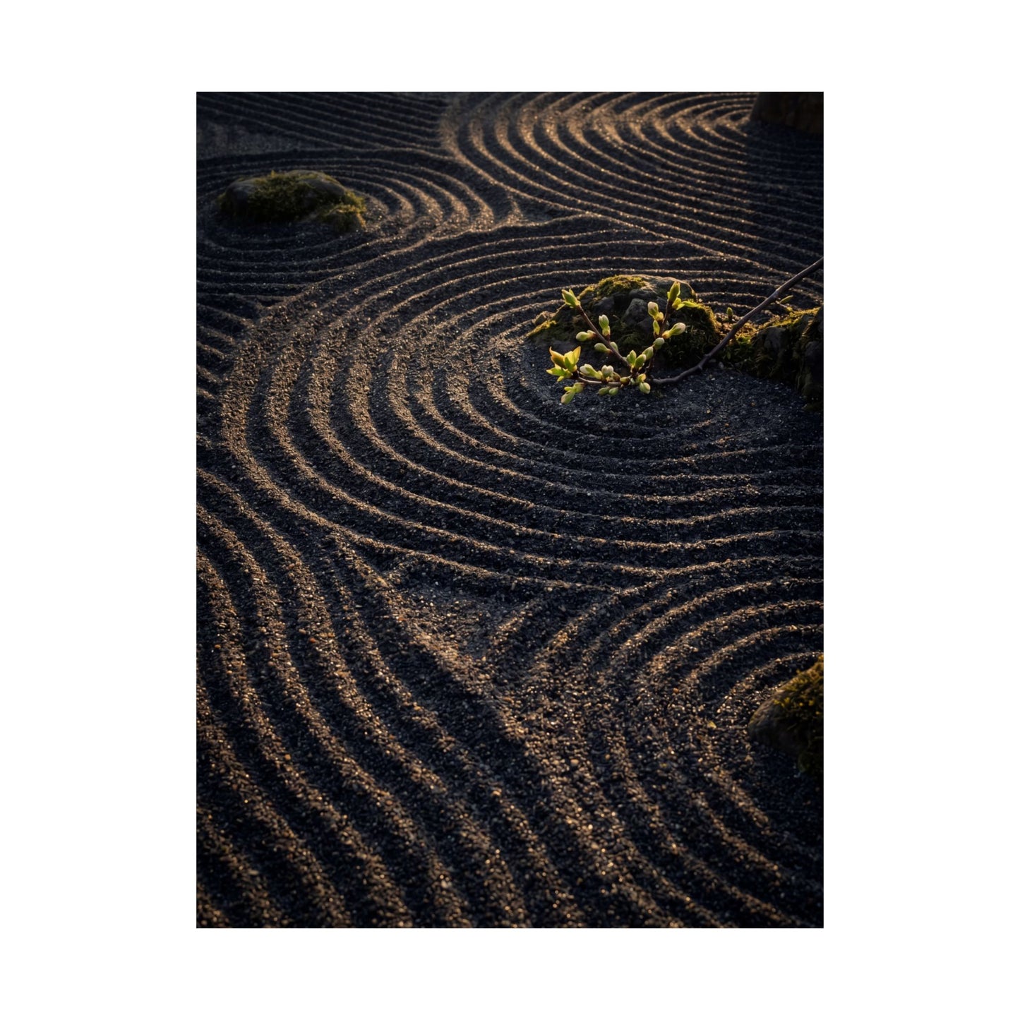 Rock Garden Shadow Zen Wall Art Print | Atmospheric Dark Japandi Art