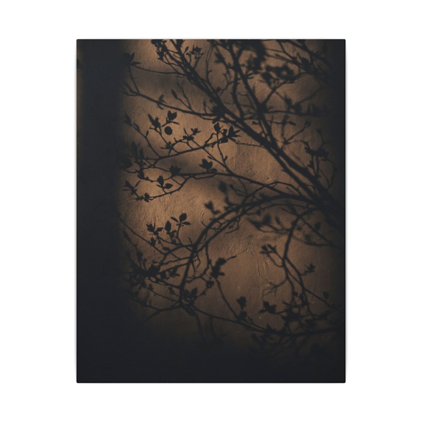 Dark Japandi Shadow Play in Golden Hour | Shadow Zen Canvas Art