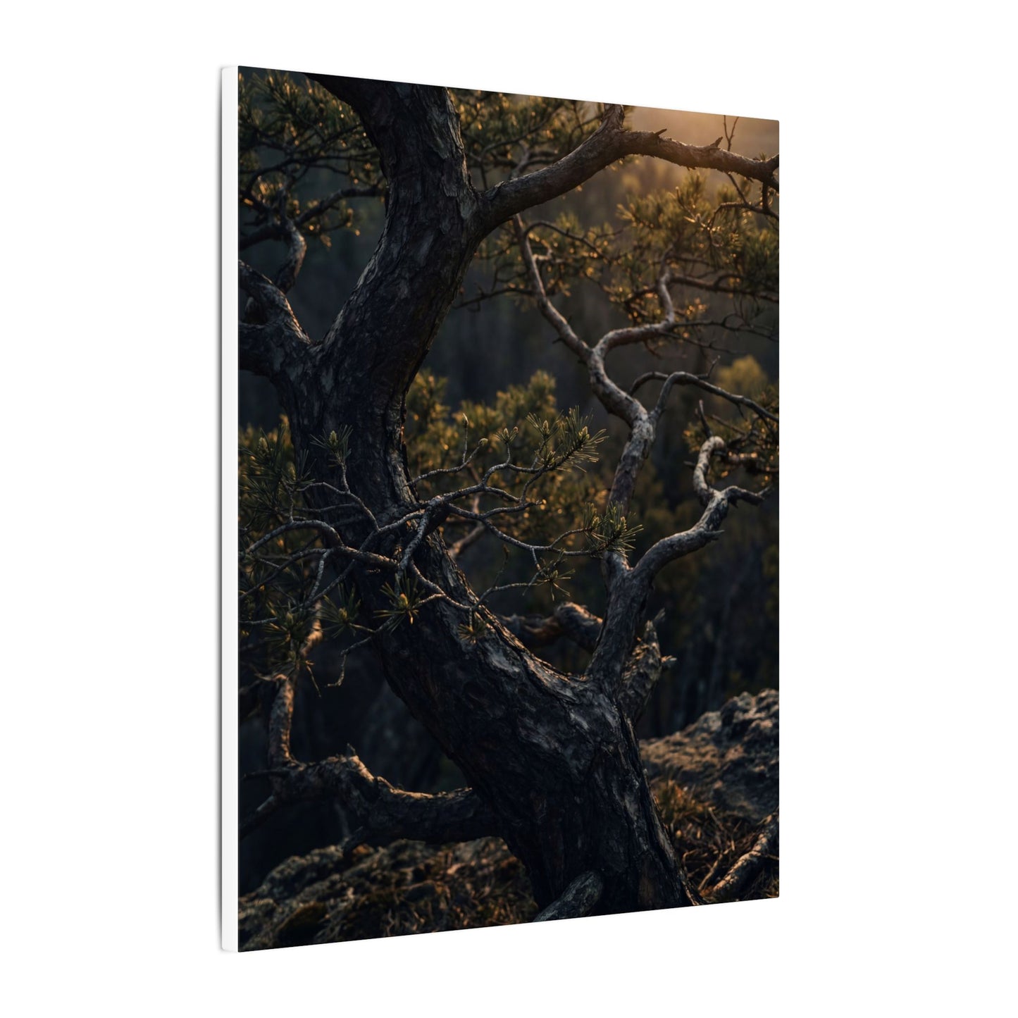 Moody Pine Tree Canvas Art - Moody Minimal Dark Japandi