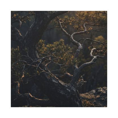 Moody Pine Tree Canvas Art - Moody Minimal Dark Japandi
