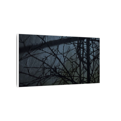 Moonlight Shadow Play Canvas Art - Dark Japandi Shibui