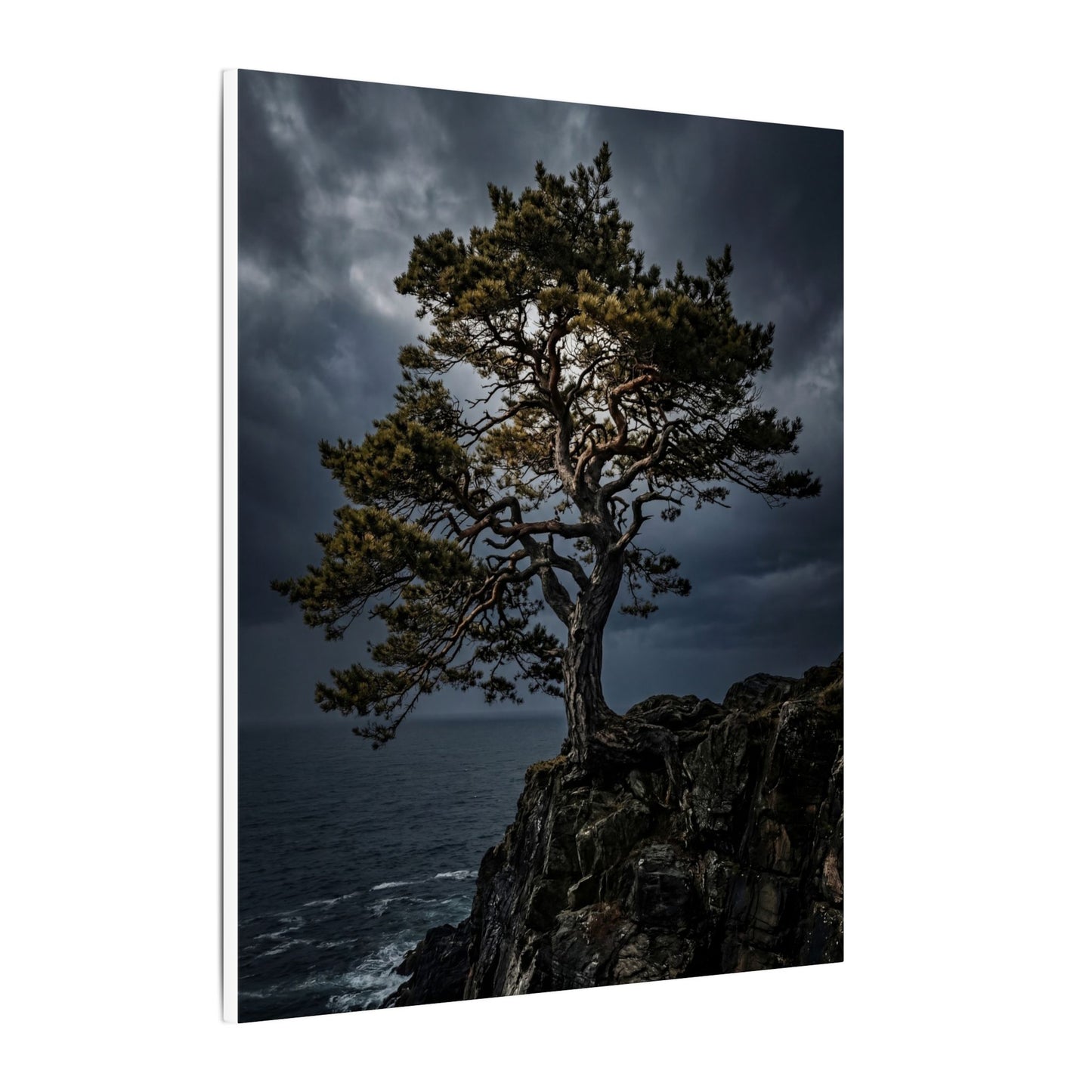Dappled Pine Tree Canvas Art - Dark Japandi Fukinsei