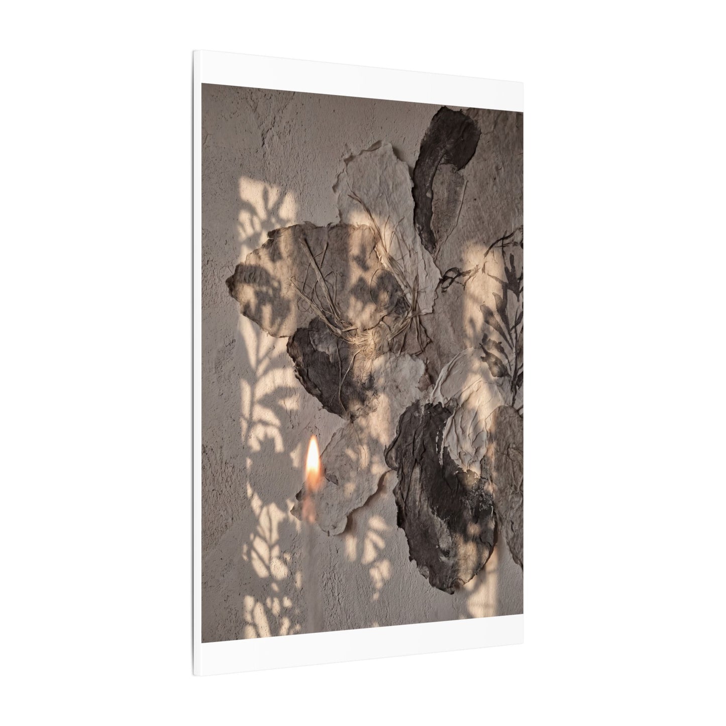 Shadow Play Summer Canvas Art | Japandi Elegant Design