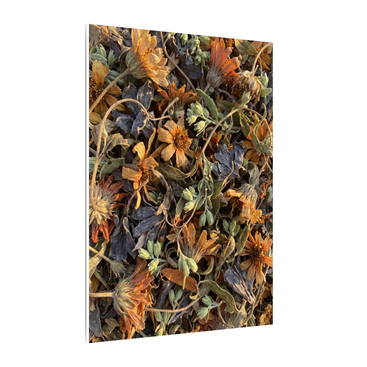 Spring Dried Flowers Japanese Pattern Canvas Art | Warm Decor