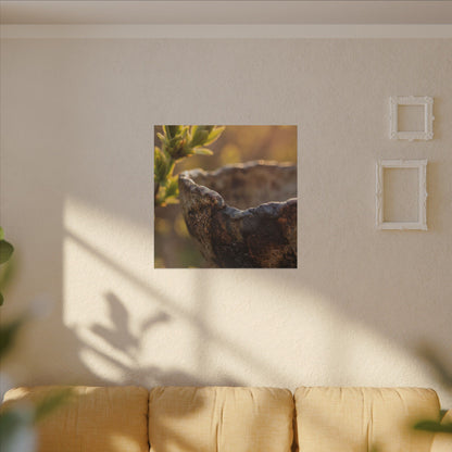Golden Hour Ceramic Bowl Canvas Art - Dark Japandi Ma