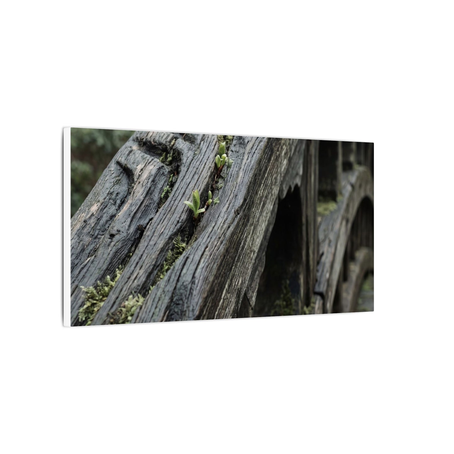 Overcast Wooden Bridge Canvas Art - Japandi Kanso