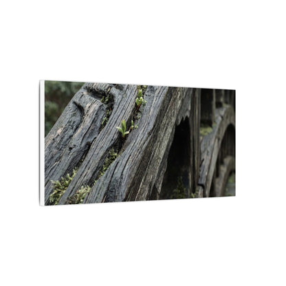 Overcast Wooden Bridge Canvas Art - Japandi Kanso