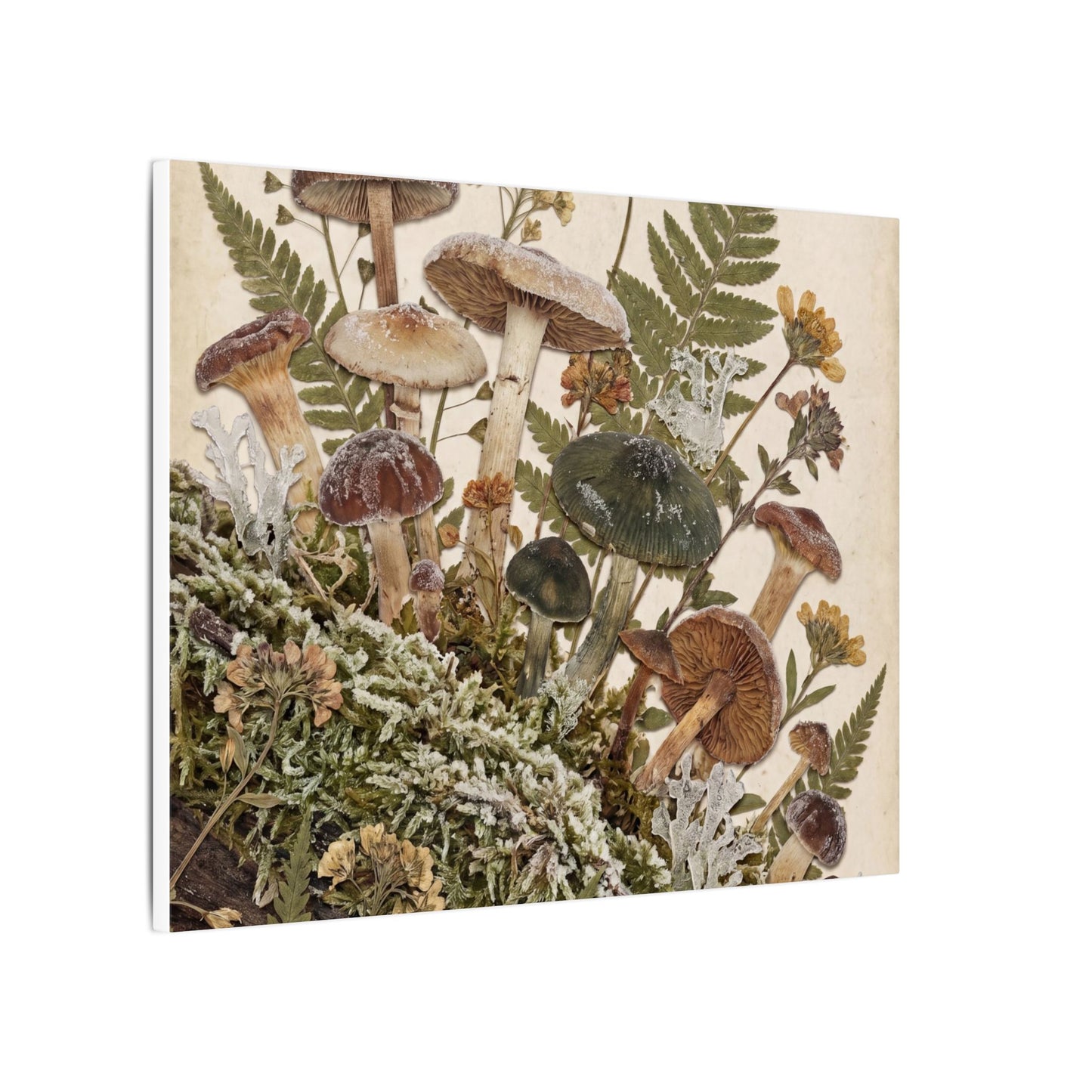 Winter Wild Mushrooms Herbarium Canvas Art | Enchanting Decor