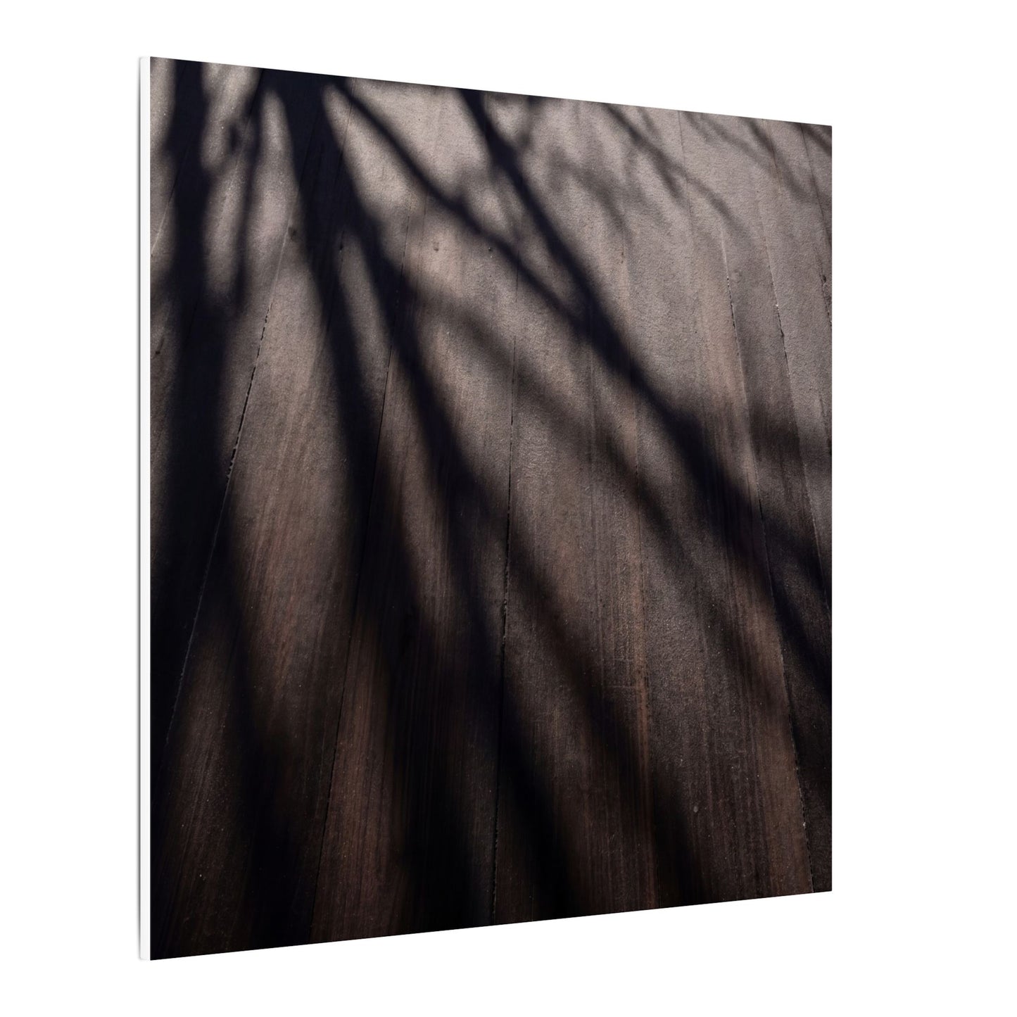 Dark Japandi Shadow Play in Dawn | Moody Minimal Canvas Art