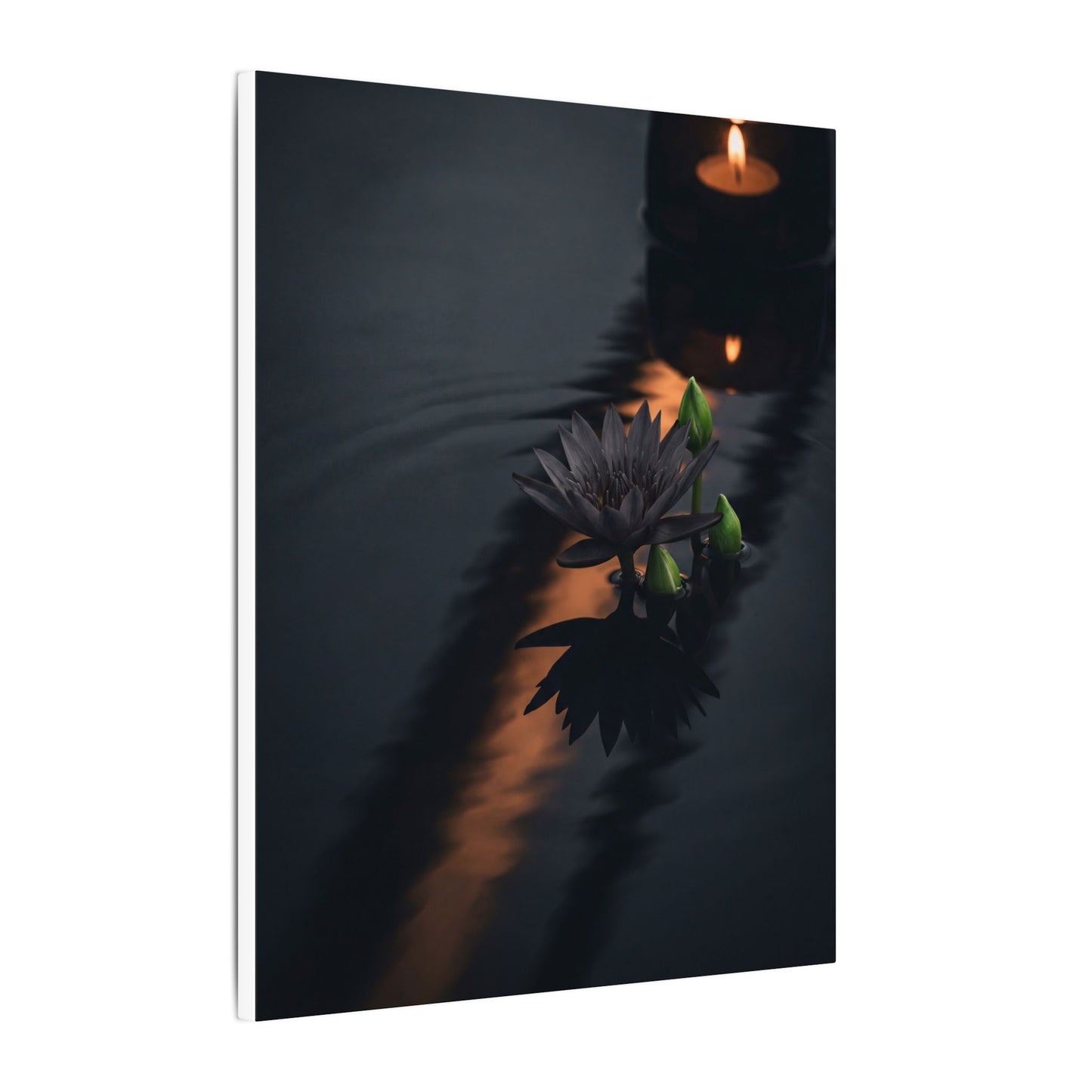 Seijaku Lotus Flower Canvas Art - Dark Japandi Shadow Zen