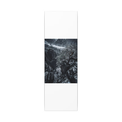 Dark Japandi Pine Tree in Dappled | Dark Texture Canvas Art