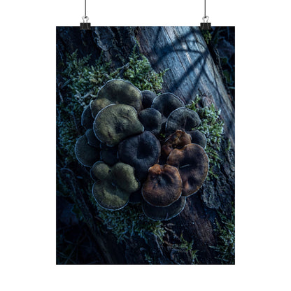 Moonlight Wild Mushrooms Wall Art Print - Dark Japandi Shibui Art Print