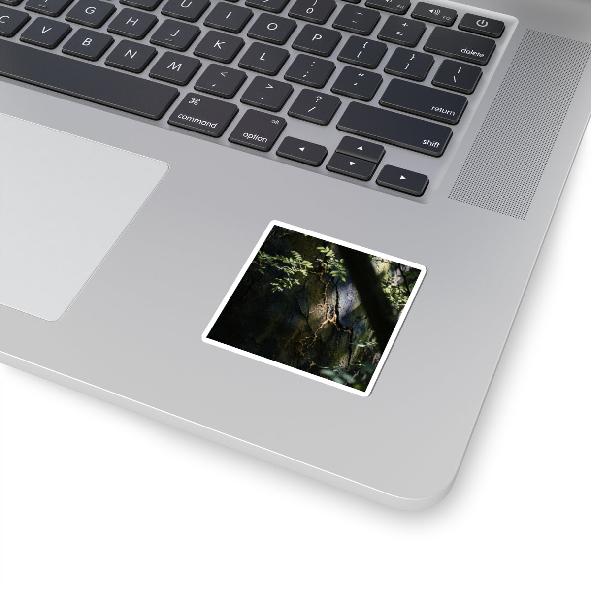 Dappled Cracked Earth Sticker - Dark Japandi Ma
