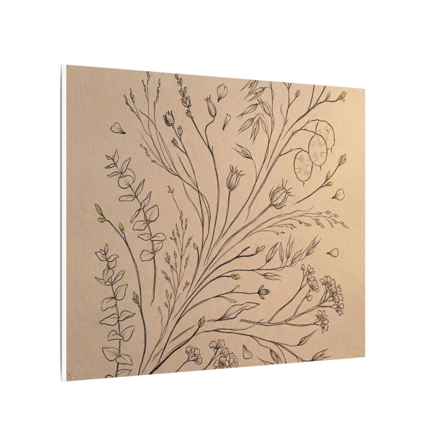 Dried Flowers Canvas Art | Spring Japandi Minimal Line Art