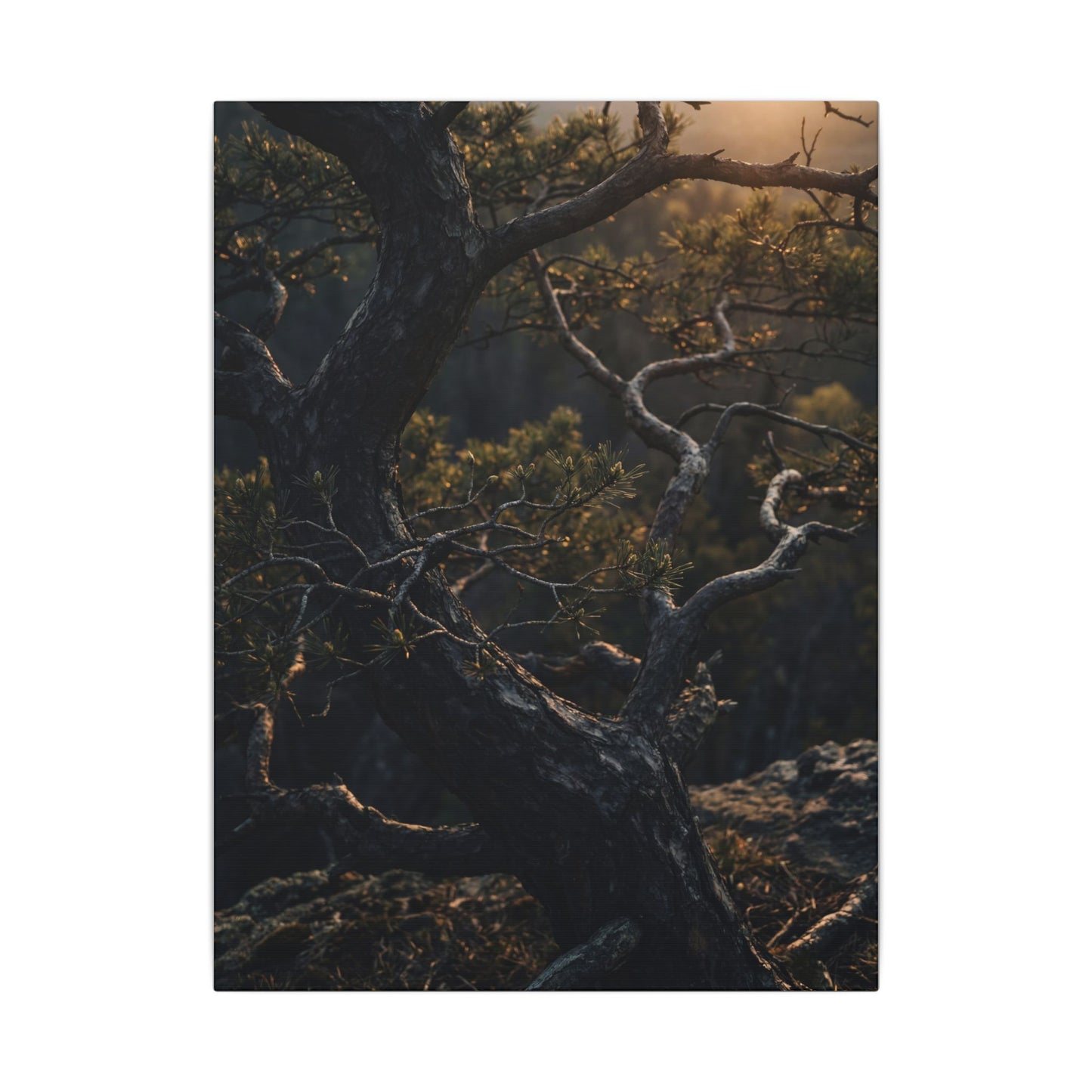 Moody Pine Tree Canvas Art - Moody Minimal Dark Japandi