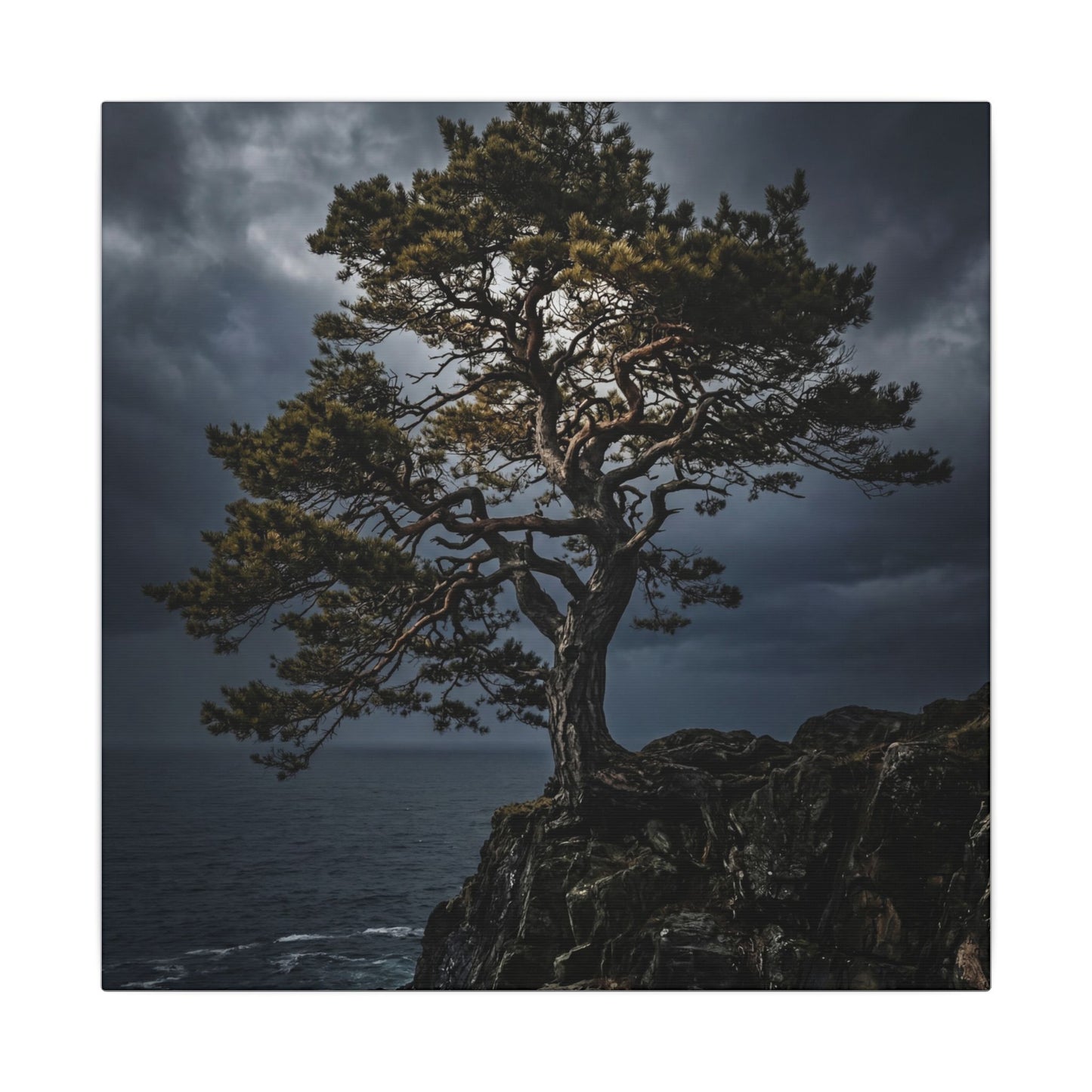 Dappled Pine Tree Canvas Art - Dark Japandi Fukinsei