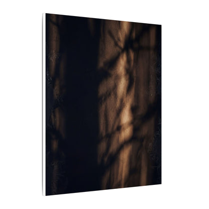 Winter Shadow Play Moody Minimal Canvas Art | Luxurious Decor