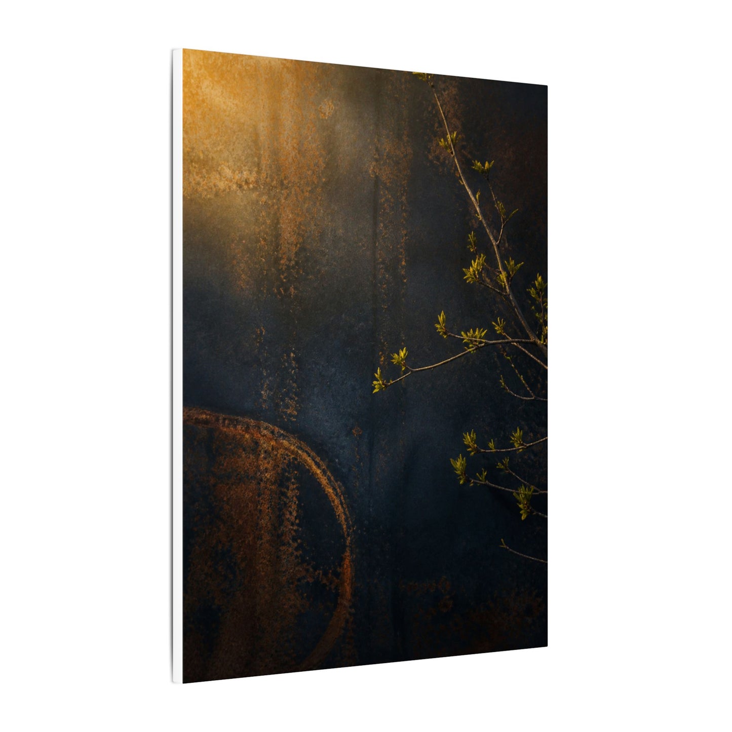 Spring Rust Patina Dark Texture Canvas Art | Moody Decor