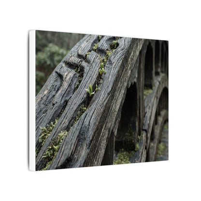 Overcast Wooden Bridge Canvas Art - Japandi Kanso