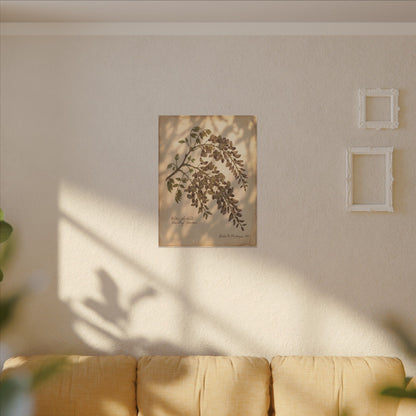 Spring Wisteria Herbarium Canvas Art | Earthy Decor