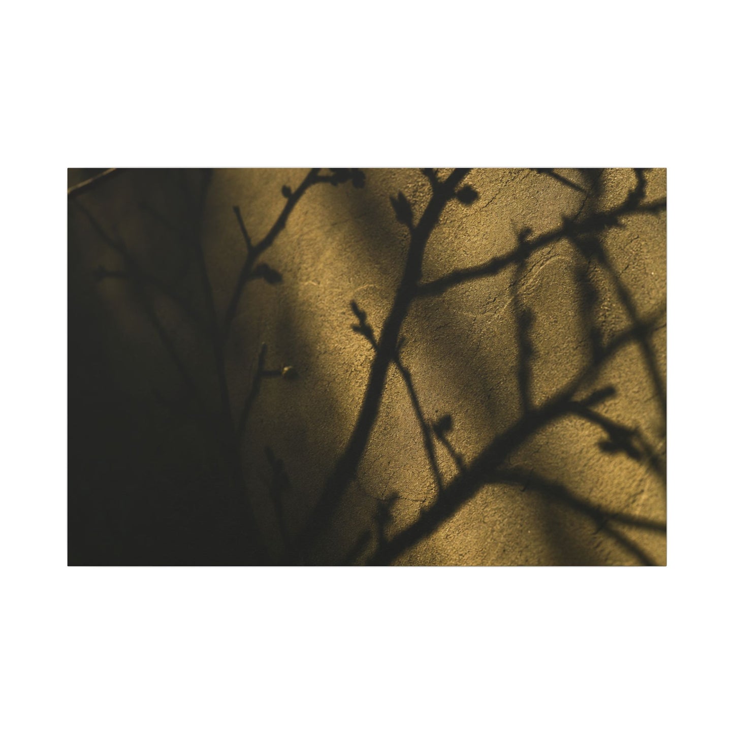 Golden Hour Shadow Play Canvas Art - Dark Japandi Seijaku