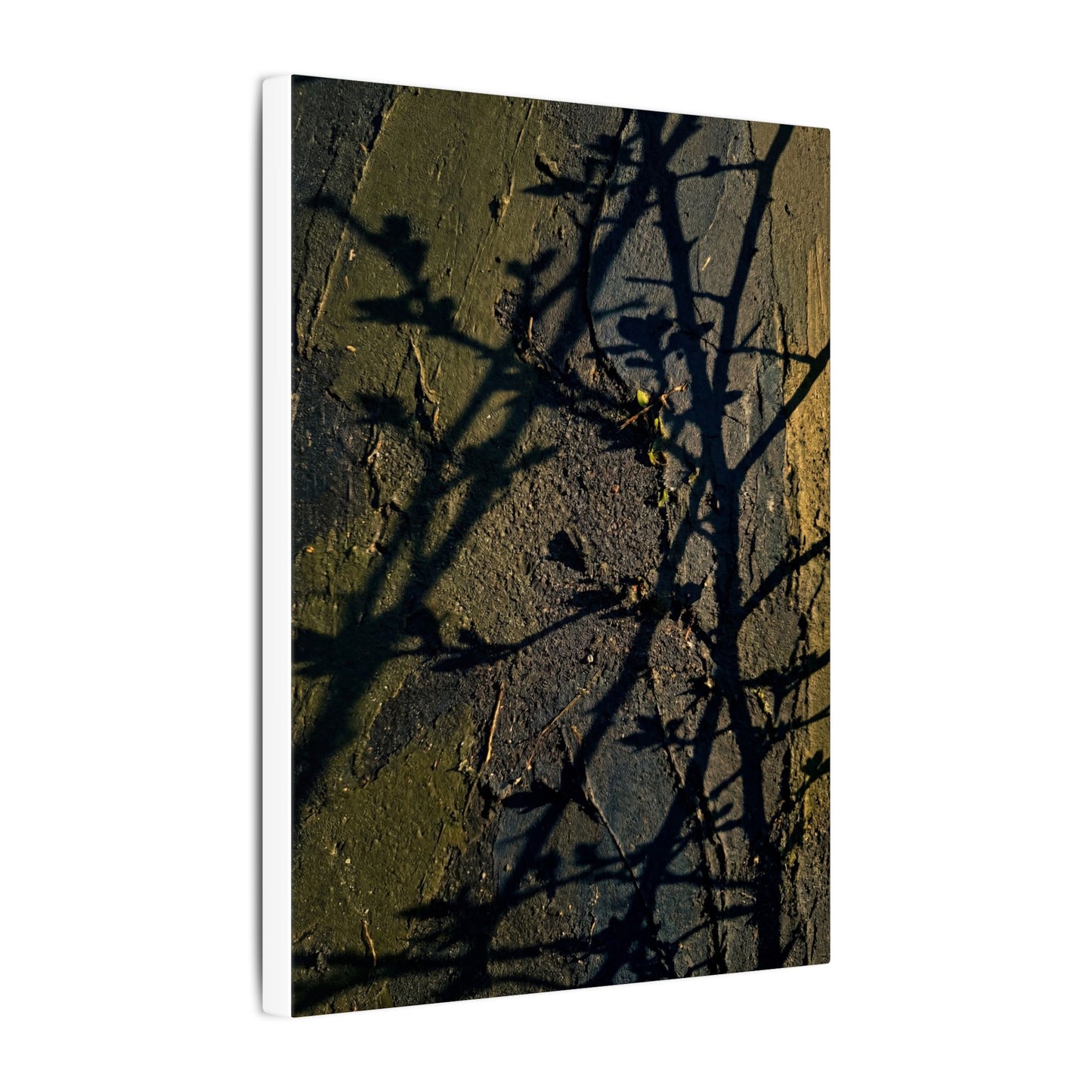 Kanso Shadow Play Canvas Art - Dark Japandi Dark Texture