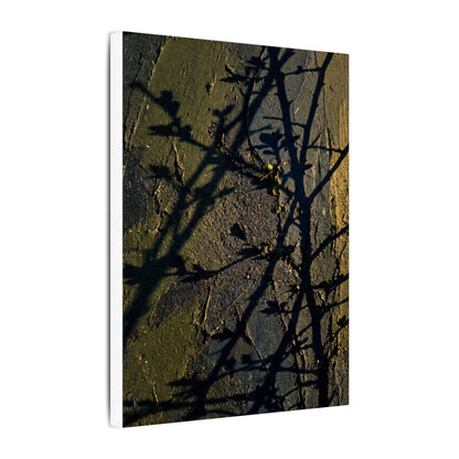 Kanso Shadow Play Canvas Art - Dark Japandi Dark Texture