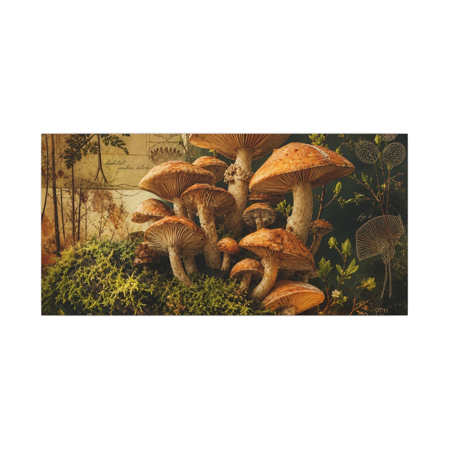Spring Wild Mushrooms Herbarium Canvas Art | Earthy Decor